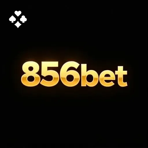 Cassino ao vivo da 856bet com dealers reais