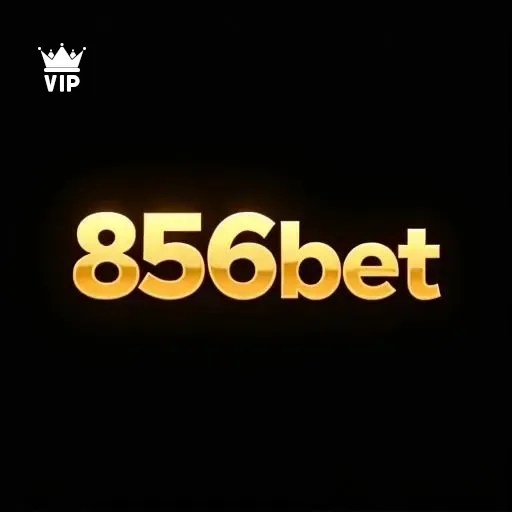 Programa VIP exclusivo da 856bet